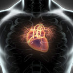 New Genetic Variants Associated with Resting Heart Rate and Cardiovascular Disease Risk 