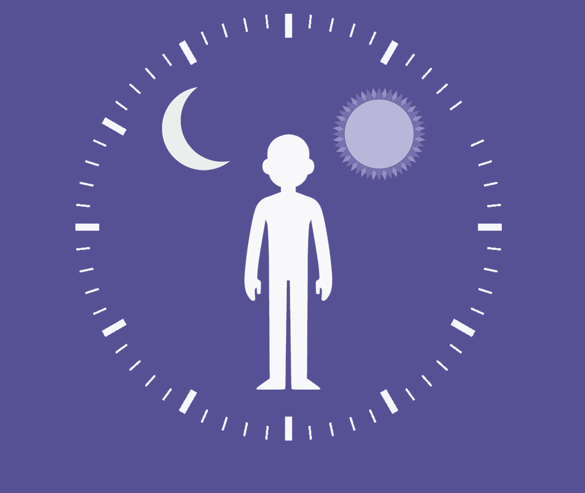 Compound Influences Age-Related Decline in Circadian Rhythms