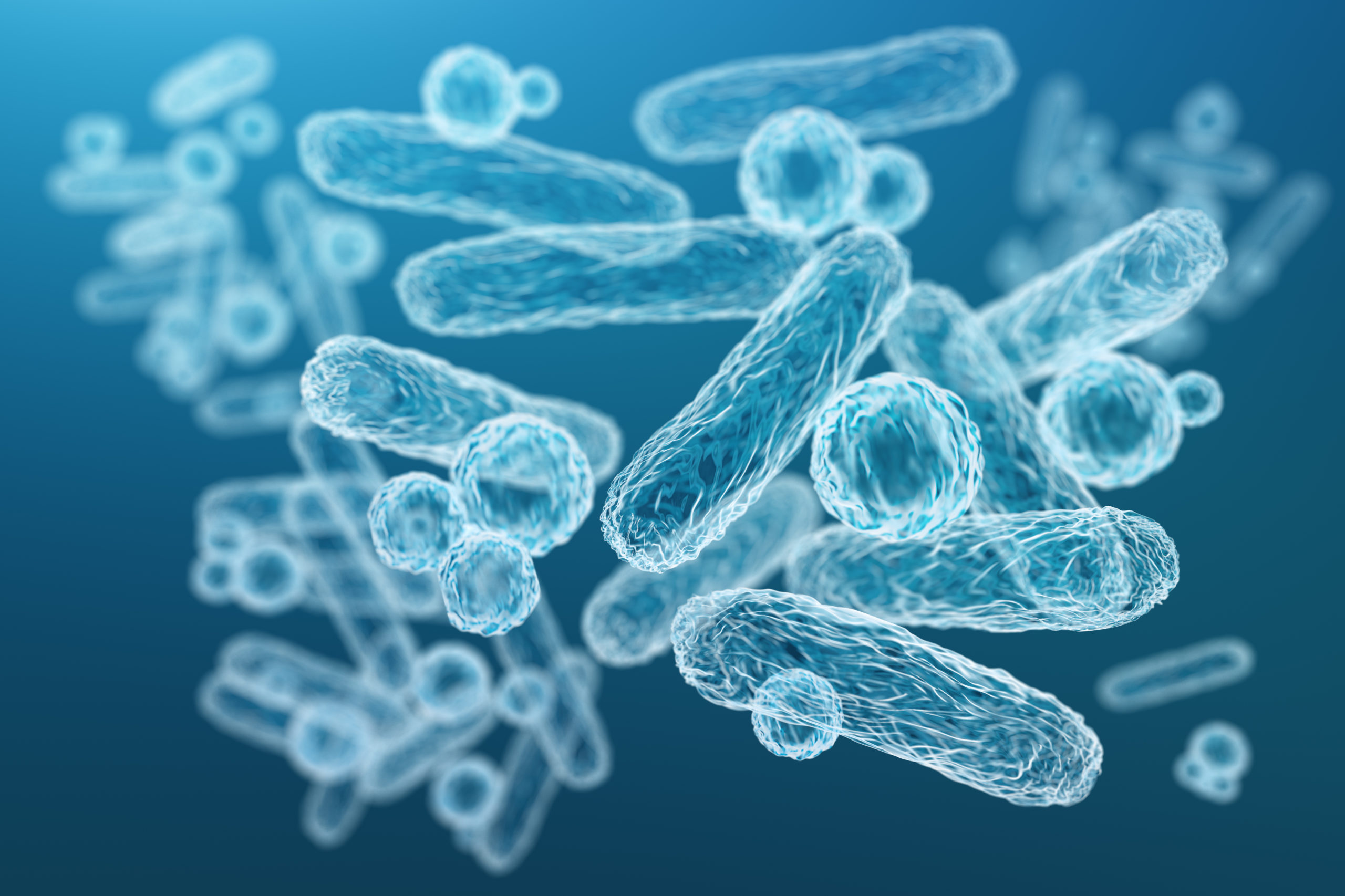Study Identifies Mechanisms Promoting Bacterial Survival