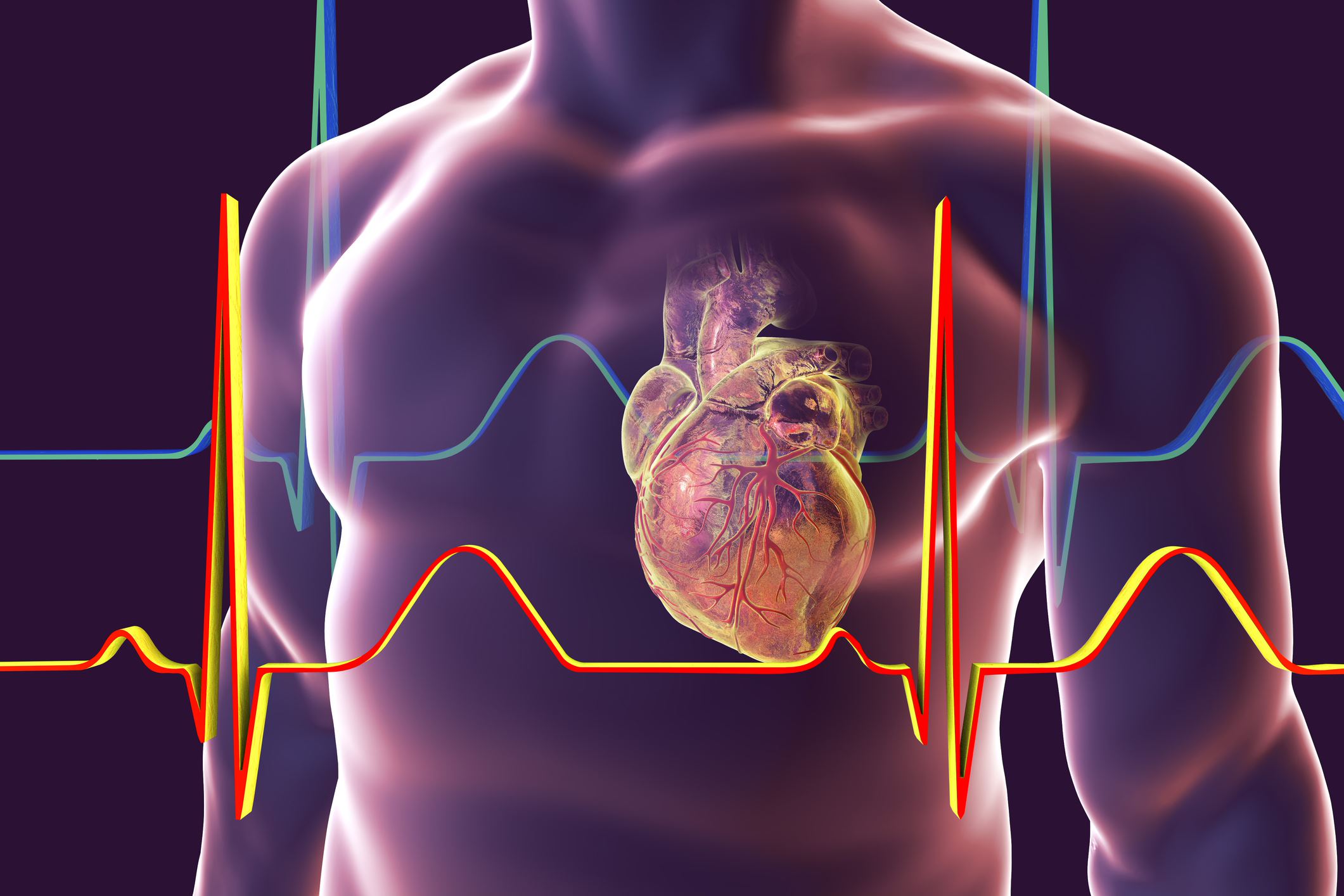 Potential Therapeutic Targets for Genetic Heart Disorder Discovered