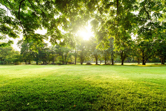 The Heart Health Benefits of Urban Green and Blue Spaces