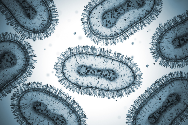 Uncovering How Poxvirus Hijacks Host Proteins to Spread