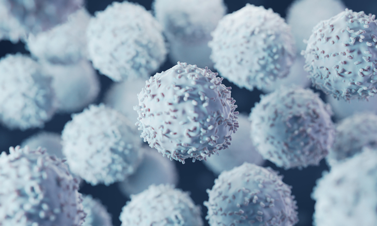 Novel Mechanisms Regulate Immune Response to Cancer and Infection
