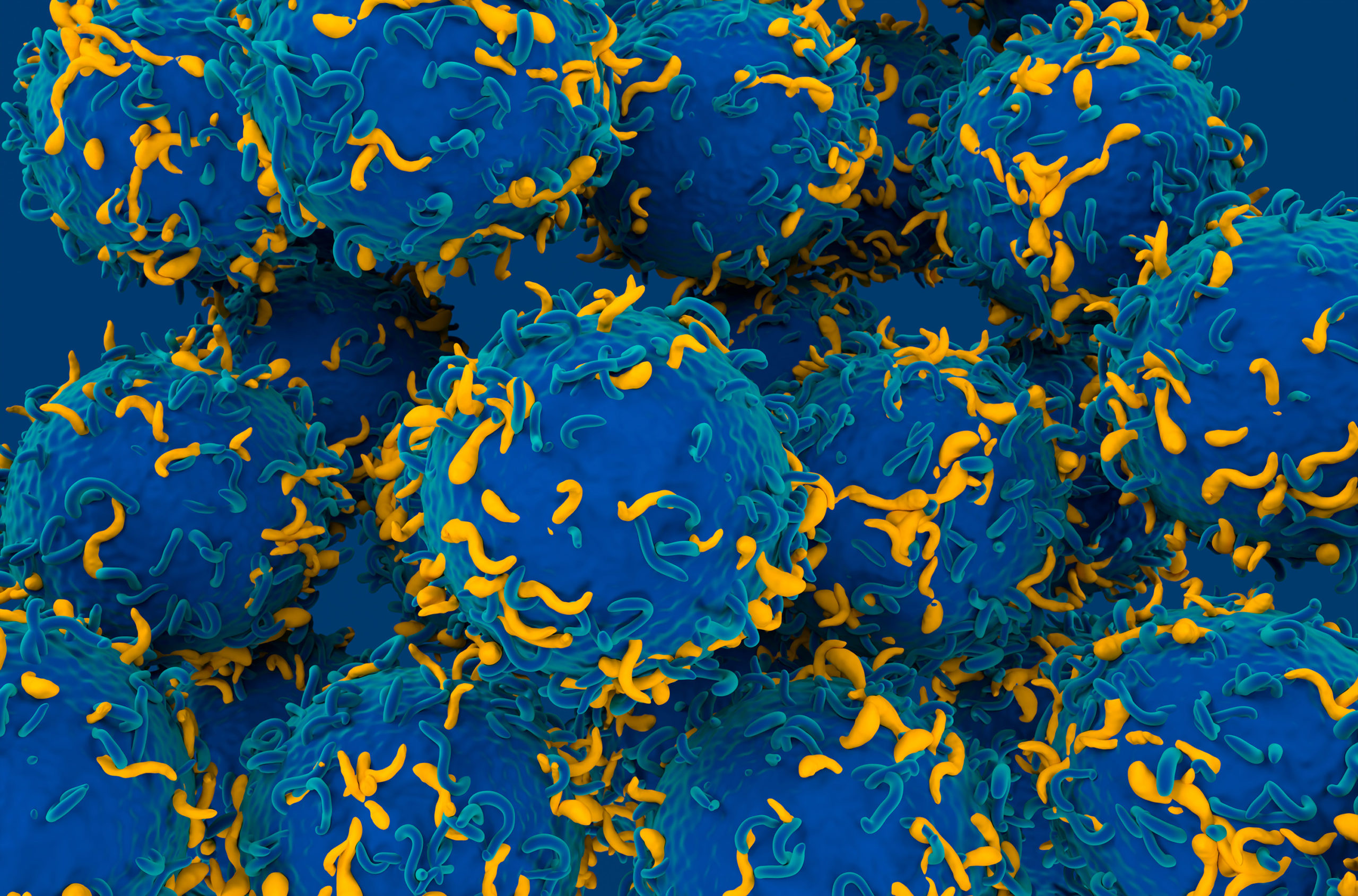 Discovering New Ways to Recharge T-Cells Fighting Cancer