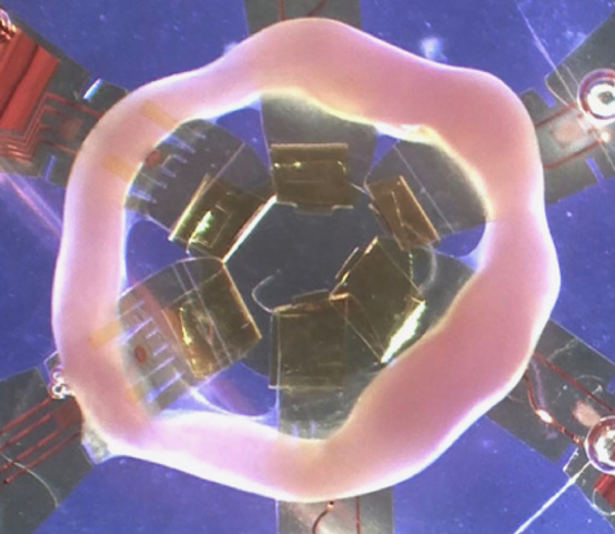 Engineering Human Heart Tissue for Scientific Study