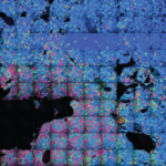 Long-Lived Proteins Impact Aging of Female Reproductive System